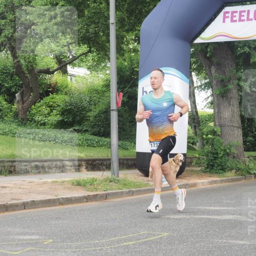 29.06.2025 - hella hamburg halbmarathon KatJ http://msf.ph/oto/8338524 29.06.2025 10:18:40 Zwischen KM18-KM19 8473 meine-sportfotos.de