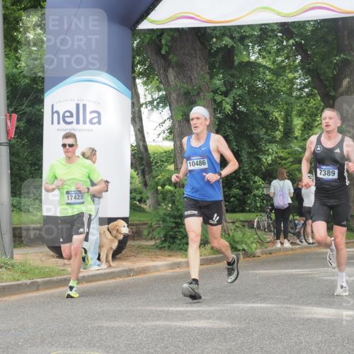 29.06.2025 - hella hamburg halbmarathon KatJ http://msf.ph/oto/8338682 29.06.2025 10:18:42 Zwischen KM18-KM19 7389, 8473 meine-sportfotos.de