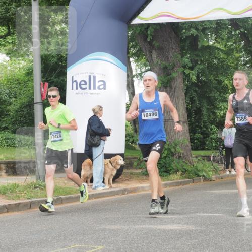 29.06.2025 - hella hamburg halbmarathon KatJ http://msf.ph/oto/8338707 29.06.2025 10:18:42 Zwischen KM18-KM19 7389, 8473 meine-sportfotos.de