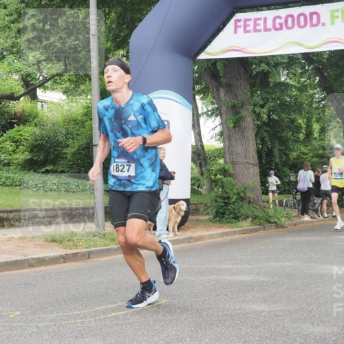29.06.2025 - hella hamburg halbmarathon KatJ http://msf.ph/oto/8338966 29.06.2025 10:18:45 Zwischen KM18-KM19 1827, 7389 meine-sportfotos.de
