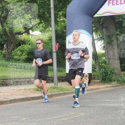 29.06.2025 - hella hamburg halbmarathon KatJ http://msf.ph/oto/8342361 29.06.2025 10:19:32 Zwischen KM18-KM19 3189, 5308 meine-sportfotos.de