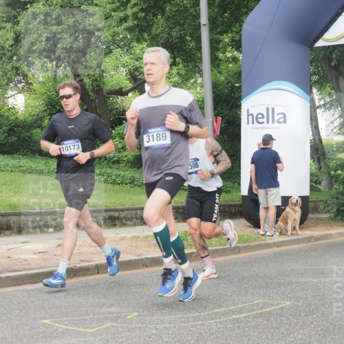 29.06.2025 - hella hamburg halbmarathon KatJ http://msf.ph/oto/8342455 29.06.2025 10:19:32 Zwischen KM18-KM19 3189, 5308 meine-sportfotos.de