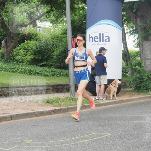 29.06.2025 - hella hamburg halbmarathon KatJ http://msf.ph/oto/8342782 29.06.2025 10:19:37 Zwischen KM18-KM19 3189, 5308, 7186 meine-sportfotos.de