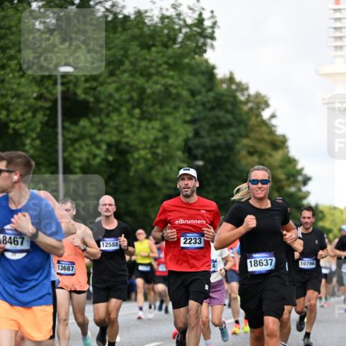 29.06.2025 - hella hamburg halbmarathon Dr. Thomas Lammeyer http://msf.ph/oto/8355749 29.06.2025 09:56:22 Kennedybrücke 1070, 1139, 1220, 1415, 1468, 1512, 1613, 1782, 2233, 3098, 3109, 3124, 3928, 4080, 4497, 4691, 4981, 5476, 5477, 6152, 6716, 7005, 7067, 7191, 7325, 7432, 7451, 7599, 7843, 7865, 7961, 8467, 8664, 9081, 9540, 10000, 10099, 10251, 10741, 10750, 10796, 11346 meine-sportfotos.de