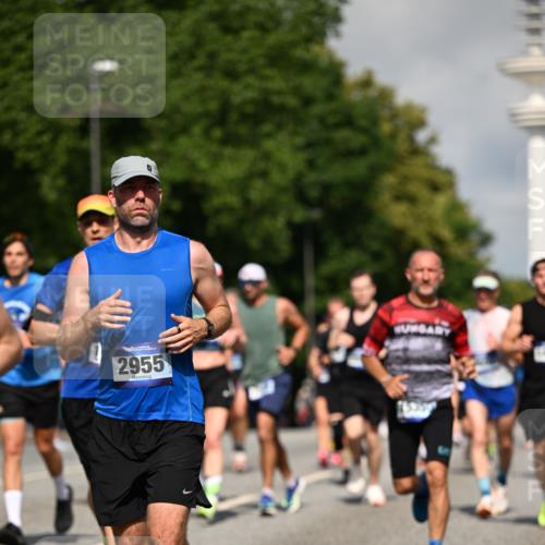 29.06.2025 - hella hamburg halbmarathon Dr. Thomas Lammeyer http://msf.ph/oto/8377368 29.06.2025 09:58:38 Kennedybrücke 1549, 1817, 2222, 2367, 2592, 2596, 2670, 2816, 2955, 3208, 4832, 5705, 6290, 6389, 6723, 6923, 6978, 6991, 7274, 7335, 7508, 7908, 8117, 8437, 8482, 8657, 8698, 8916, 8981, 9038, 9093, 9159, 9661, 9710, 9924, 9931, 10057, 10122, 11125 meine-sportfotos.de