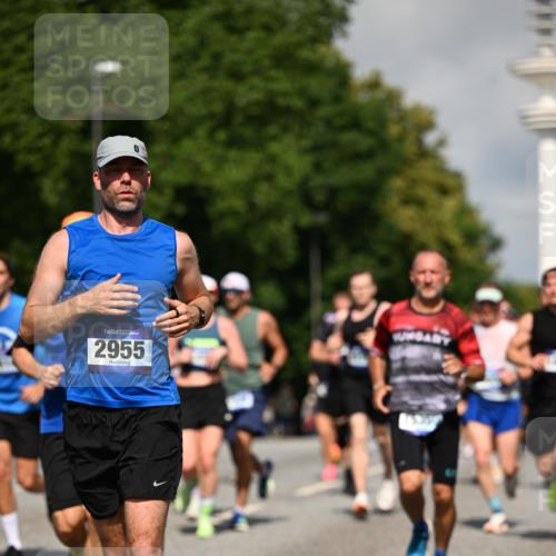 29.06.2025 - hella hamburg halbmarathon Dr. Thomas Lammeyer http://msf.ph/oto/8377385 29.06.2025 09:58:38 Kennedybrücke 1549, 1817, 2222, 2367, 2592, 2596, 2670, 2816, 2955, 3208, 4832, 5705, 6290, 6389, 6723, 6923, 6978, 6991, 7274, 7335, 7508, 7908, 8117, 8437, 8482, 8657, 8698, 8916, 8981, 9038, 9093, 9159, 9661, 9710, 9924, 9931, 10057, 10122, 11125 meine-sportfotos.de