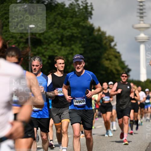 29.06.2025 - hella hamburg halbmarathon Dr. Thomas Lammeyer http://msf.ph/oto/8385608 29.06.2025 09:59:24 Kennedybrücke 1151, 1200, 1216, 1461, 1630, 1683, 1689, 1696, 1706, 2207, 2706, 2708, 3213, 3654, 3692, 3945, 3985, 4033, 4088, 4121, 4127, 4189, 4324, 4345, 4601, 4847, 4890, 4938, 5421, 5459, 5915, 6009, 6054, 6421, 6481, 6532, 6691, 6938, 7052, 7056, 7269, 7312, 7332, 7367, 7657, 8139, 8153, 8205, 8216, 8234, 8302, 8454, 8577, 8720, 8856, 8899, 8927, 8955, 8977, 9386, 9491, 9529, 9551, 9786, 9934, 9959, 10115, 10263, 10811, 11356 meine-sportfotos.de