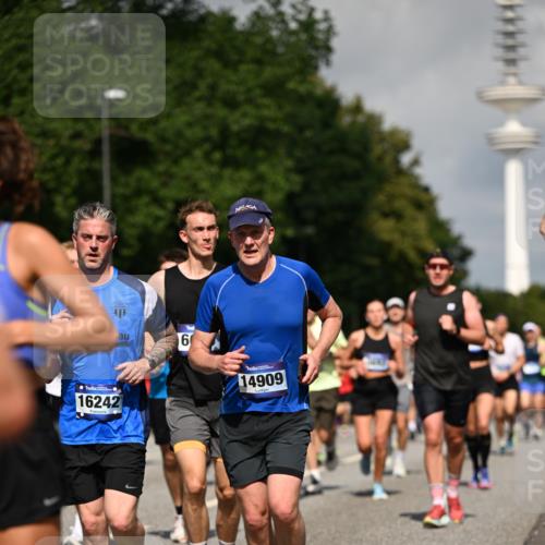 29.06.2025 - hella hamburg halbmarathon Dr. Thomas Lammeyer http://msf.ph/oto/8386328 29.06.2025 09:59:24 Kennedybrücke 1151, 1200, 1216, 1461, 1630, 1683, 1689, 1696, 1706, 2207, 2706, 2708, 3213, 3654, 3692, 3945, 3985, 4033, 4088, 4121, 4127, 4189, 4324, 4345, 4601, 4847, 4890, 4938, 5421, 5459, 5915, 6009, 6054, 6421, 6481, 6532, 6691, 6938, 7052, 7056, 7269, 7312, 7332, 7367, 7657, 8139, 8153, 8205, 8216, 8234, 8302, 8454, 8577, 8720, 8856, 8899, 8927, 8955, 8977, 9386, 9491, 9529, 9551, 9786, 9934, 9959, 10115, 10263, 10811, 11356 meine-sportfotos.de