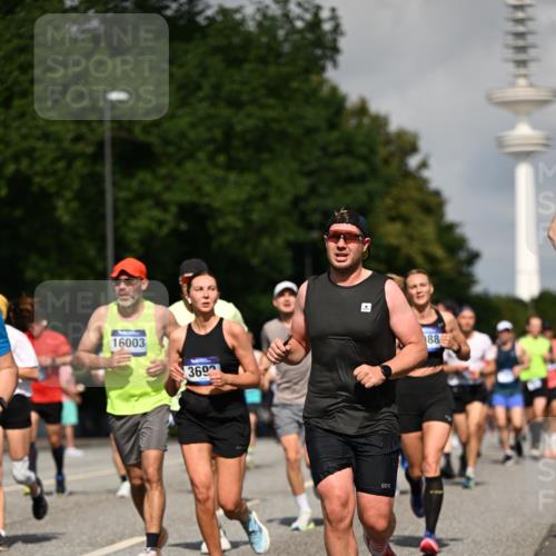 29.06.2025 - hella hamburg halbmarathon Dr. Thomas Lammeyer http://msf.ph/oto/8386845 29.06.2025 09:59:27 Kennedybrücke 1151, 1200, 1216, 1461, 1630, 1683, 1689, 1696, 1706, 2207, 2706, 3213, 3654, 3692, 3945, 4033, 4088, 4121, 4127, 4189, 4324, 4345, 4601, 4847, 4890, 4938, 5421, 5459, 6009, 6421, 6481, 6691, 6938, 7056, 7100, 7224, 7269, 7312, 7332, 7367, 7657, 8139, 8153, 8205, 8216, 8234, 8302, 8454, 8720, 8856, 8899, 8955, 8977, 9491, 9551, 9934, 9959, 10115, 10263, 10811, 11356 meine-sportfotos.de