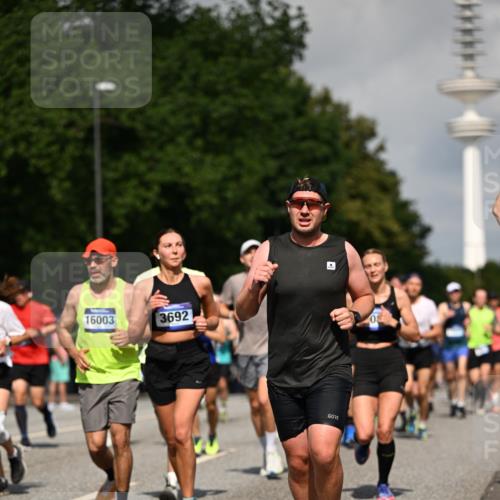 29.06.2025 - hella hamburg halbmarathon Dr. Thomas Lammeyer http://msf.ph/oto/8386861 29.06.2025 09:59:27 Kennedybrücke 1151, 1200, 1216, 1461, 1630, 1683, 1689, 1696, 1706, 2207, 2706, 3213, 3654, 3692, 3945, 4033, 4088, 4121, 4127, 4189, 4324, 4345, 4601, 4847, 4890, 4938, 5421, 5459, 6009, 6421, 6481, 6691, 6938, 7056, 7100, 7224, 7269, 7312, 7332, 7367, 7657, 8139, 8153, 8205, 8216, 8234, 8302, 8454, 8720, 8856, 8899, 8955, 8977, 9491, 9551, 9934, 9959, 10115, 10263, 10811, 11356 meine-sportfotos.de