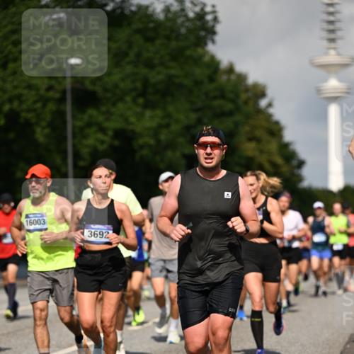 29.06.2025 - hella hamburg halbmarathon Dr. Thomas Lammeyer http://msf.ph/oto/8386897 29.06.2025 09:59:27 Kennedybrücke 1151, 1200, 1216, 1461, 1630, 1683, 1689, 1696, 1706, 2207, 2706, 3213, 3654, 3692, 3945, 4033, 4088, 4121, 4127, 4189, 4324, 4345, 4601, 4847, 4890, 4938, 5421, 5459, 6009, 6421, 6481, 6691, 6938, 7056, 7100, 7224, 7269, 7312, 7332, 7367, 7657, 8139, 8153, 8205, 8216, 8234, 8302, 8454, 8720, 8856, 8899, 8955, 8977, 9491, 9551, 9934, 9959, 10115, 10263, 10811, 11356 meine-sportfotos.de
