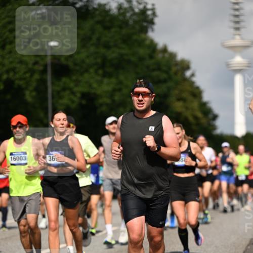 29.06.2025 - hella hamburg halbmarathon Dr. Thomas Lammeyer http://msf.ph/oto/8386913 29.06.2025 09:59:27 Kennedybrücke 1151, 1200, 1216, 1461, 1630, 1683, 1689, 1696, 1706, 2207, 2706, 3213, 3654, 3692, 3945, 4033, 4088, 4121, 4127, 4189, 4324, 4345, 4601, 4847, 4890, 4938, 5421, 5459, 6009, 6421, 6481, 6691, 6938, 7056, 7100, 7224, 7269, 7312, 7332, 7367, 7657, 8139, 8153, 8205, 8216, 8234, 8302, 8454, 8720, 8856, 8899, 8955, 8977, 9491, 9551, 9934, 9959, 10115, 10263, 10811, 11356 meine-sportfotos.de