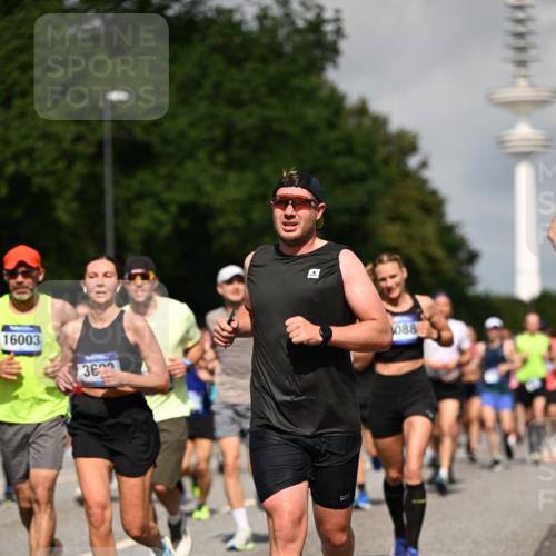 29.06.2025 - hella hamburg halbmarathon Dr. Thomas Lammeyer http://msf.ph/oto/8386936 29.06.2025 09:59:27 Kennedybrücke 1151, 1200, 1216, 1461, 1630, 1683, 1689, 1696, 1706, 2207, 2706, 3213, 3654, 3692, 3945, 4033, 4088, 4121, 4127, 4189, 4324, 4345, 4601, 4847, 4890, 4938, 5421, 5459, 6009, 6421, 6481, 6691, 6938, 7056, 7100, 7224, 7269, 7312, 7332, 7367, 7657, 8139, 8153, 8205, 8216, 8234, 8302, 8454, 8720, 8856, 8899, 8955, 8977, 9491, 9551, 9934, 9959, 10115, 10263, 10811, 11356 meine-sportfotos.de