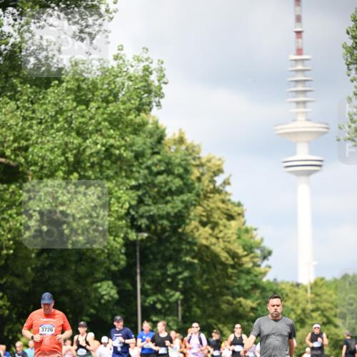 29.06.2025 - hella hamburg halbmarathon Dr. Thomas Lammeyer http://msf.ph/oto/8412006 29.06.2025 10:43:08 Kennedybrücke 1451, 1457, 1721, 1856, 2113, 2486, 2524, 2693, 2786, 3216, 3242, 3307, 3726, 4028, 4139, 4155, 4259, 4260, 4603, 4964, 5085, 5089, 5155, 5161, 5617, 5684, 5735, 7117, 7341, 7350, 7561, 7589, 8583, 8635, 8747, 9004, 9689, 11059 meine-sportfotos.de