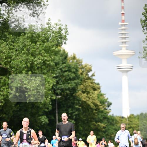 29.06.2025 - hella hamburg halbmarathon Dr. Thomas Lammeyer http://msf.ph/oto/8412965 29.06.2025 10:43:42 Kennedybrücke 1232, 2092, 2498, 2893, 3353, 4855, 6112, 6321, 6342, 6343, 6611, 7053, 7125, 7263, 7501, 7684, 7815, 8243, 8367, 8457, 8783, 9393, 9708, 10001, 10315, 10516, 10554, 10604, 10696, 10888, 11129, 11313, 11381, 11382 meine-sportfotos.de