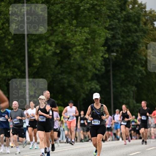 29.06.2025 - hella hamburg halbmarathon Dr. Thomas Lammeyer http://msf.ph/oto/8423078 29.06.2025 10:48:37 Kennedybrücke 1026, 1095, 1400, 1459, 1802, 1804, 2073, 2186, 2258, 2674, 2733, 3065, 3597, 4636, 4866, 4968, 5127, 5355, 5902, 5905, 6036, 6226, 6334, 7489, 8058, 8591, 8763, 8870, 9331, 9333, 9879, 10006, 10097, 10220, 10285, 10553, 10707, 11093 meine-sportfotos.de