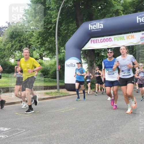 29.06.2025 - hella hamburg halbmarathon KatJ http://msf.ph/oto/8427480 29.06.2025 10:40:09 Zwischen KM18-KM19 2208, 3209, 3715, 4065, 5378, 5638, 7896, 8273, 8587, 8651 meine-sportfotos.de