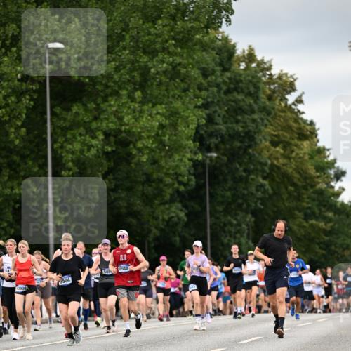 29.06.2025 - hella hamburg halbmarathon Dr. Thomas Lammeyer http://msf.ph/oto/8431760 29.06.2025 10:52:23 Kennedybrücke 1045, 1246, 1430, 1434, 1639, 1645, 2148, 2163, 2195, 2407, 2418, 2627, 2882, 2994, 3468, 3504, 3933, 4037, 4588, 4974, 5886, 6255, 6256, 6879, 7412, 7970, 8310, 8948, 9018, 9356, 9696, 10075, 10777, 10991, 11351 meine-sportfotos.de