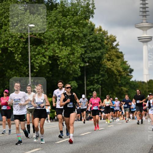 29.06.2025 - hella hamburg halbmarathon Dr. Thomas Lammeyer http://msf.ph/oto/8507646 29.06.2025 10:28:45 Kennedybrücke 1389, 1545, 3579, 4162, 4646, 4993, 5039, 5055, 5160, 5258, 5260, 5954, 7426, 7920, 8141, 8187, 8297, 8717, 8918, 8920, 9603, 11415 meine-sportfotos.de