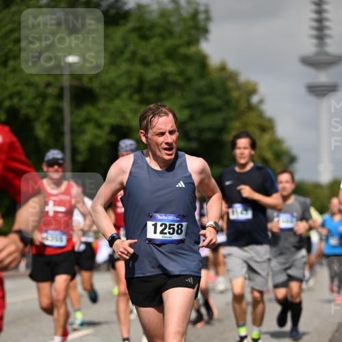 29.06.2025 - hella hamburg halbmarathon Dr. Thomas Lammeyer http://msf.ph/oto/8513468 29.06.2025 10:01:53 Kennedybrücke 1179, 1258, 1335, 1563, 1870, 2070, 2397, 2448, 2488, 2612, 2636, 3251, 4379, 4814, 4986, 5093, 5672, 6164, 6356, 6628, 6776, 6897, 7065, 7409, 7478, 7509, 7594, 7646, 7724, 7973, 7976, 8176, 8449, 8508, 8590, 8689, 9057, 9065, 9145, 9656, 9835, 11208, 11217, 11310 meine-sportfotos.de