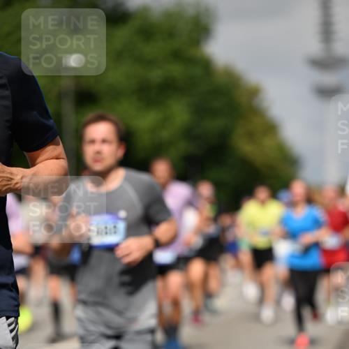 29.06.2025 - hella hamburg halbmarathon Dr. Thomas Lammeyer http://msf.ph/oto/8513588 29.06.2025 10:01:56 Kennedybrücke 1179, 1258, 1335, 1563, 1870, 2070, 2397, 2448, 2488, 2612, 2636, 2711, 3251, 4814, 4986, 5093, 5672, 5894, 6164, 6356, 6628, 6897, 7065, 7409, 7478, 7509, 7594, 7646, 7724, 7896, 7976, 8176, 8449, 8508, 8590, 8689, 9057, 9065, 9145, 9656, 9835, 11208, 11217, 11310, 11416 meine-sportfotos.de