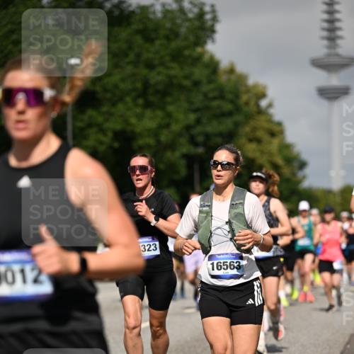 29.06.2025 - hella hamburg halbmarathon Dr. Thomas Lammeyer http://msf.ph/oto/8514178 29.06.2025 10:02:17 Kennedybrücke 1034, 1285, 1815, 2029, 2034, 2070, 2417, 2518, 2656, 2711, 2883, 3041, 3114, 3819, 3859, 4903, 5077, 5259, 5305, 5378, 5721, 5775, 5894, 6272, 6433, 6580, 6754, 6877, 6897, 7065, 7369, 7409, 7509, 7732, 7856, 7896, 8311, 8393, 8449, 8590, 8825, 9012, 9562, 9770, 10084, 11214, 11310, 11416 meine-sportfotos.de