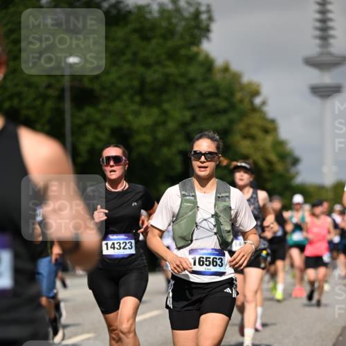 29.06.2025 - hella hamburg halbmarathon Dr. Thomas Lammeyer http://msf.ph/oto/8514183 29.06.2025 10:02:17 Kennedybrücke 1034, 1285, 1815, 2029, 2034, 2070, 2417, 2518, 2656, 2711, 2883, 3041, 3114, 3819, 3859, 4903, 5077, 5259, 5305, 5378, 5721, 5775, 5894, 6272, 6433, 6580, 6754, 6877, 6897, 7065, 7369, 7409, 7509, 7732, 7856, 7896, 8311, 8393, 8449, 8590, 8825, 9012, 9562, 9770, 10084, 11214, 11310, 11416 meine-sportfotos.de