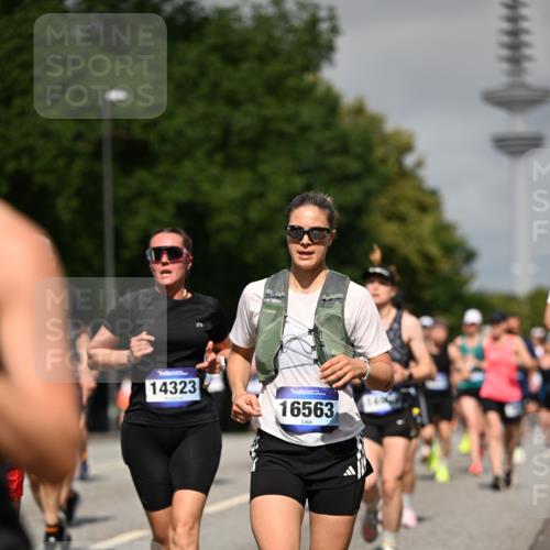 29.06.2025 - hella hamburg halbmarathon Dr. Thomas Lammeyer http://msf.ph/oto/8514191 29.06.2025 10:02:17 Kennedybrücke 1034, 1285, 1815, 2029, 2034, 2070, 2417, 2518, 2656, 2711, 2883, 3041, 3114, 3819, 3859, 4903, 5077, 5259, 5305, 5378, 5721, 5775, 5894, 6272, 6433, 6580, 6754, 6877, 6897, 7065, 7369, 7409, 7509, 7732, 7856, 7896, 8311, 8393, 8449, 8590, 8825, 9012, 9562, 9770, 10084, 11214, 11310, 11416 meine-sportfotos.de