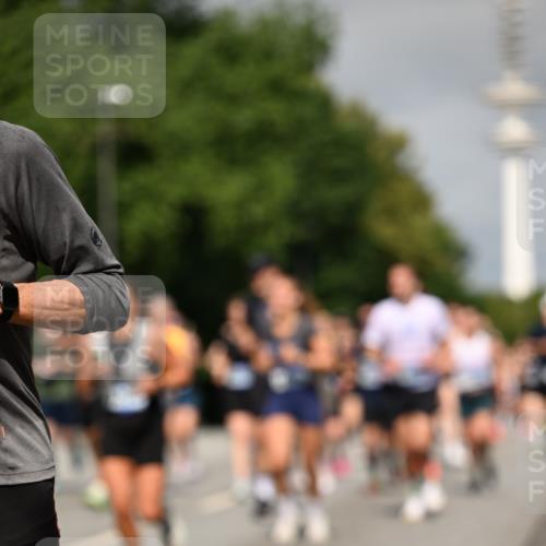 29.06.2025 - hella hamburg halbmarathon Dr. Thomas Lammeyer http://msf.ph/oto/8515092 29.06.2025 10:02:43 Kennedybrücke 1190, 1410, 1485, 1727, 1946, 1951, 1972, 2034, 2518, 2656, 2840, 2883, 2907, 3037, 3091, 3097, 3334, 3715, 3859, 3952, 4152, 4167, 5077, 5084, 5492, 6294, 6399, 6433, 6592, 6629, 6657, 6759, 6877, 7082, 7232, 7369, 7716, 7732, 8068, 8322, 8393, 8639, 8721, 8798, 9727, 9770, 10724, 11212 meine-sportfotos.de