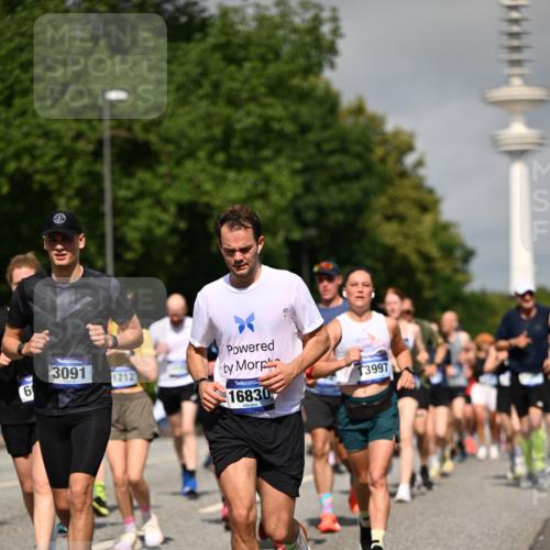 29.06.2025 - hella hamburg halbmarathon Dr. Thomas Lammeyer http://msf.ph/oto/8515205 29.06.2025 10:02:46 Kennedybrücke 1190, 1410, 1485, 1727, 1946, 1951, 1972, 2518, 2840, 2883, 2907, 3037, 3091, 3097, 3334, 3715, 3952, 4152, 4167, 5077, 5084, 5492, 6294, 6390, 6399, 6592, 6629, 6657, 6759, 7082, 7232, 7716, 8068, 8154, 8322, 8639, 8721, 8772, 8798, 9727, 10724, 11212 meine-sportfotos.de