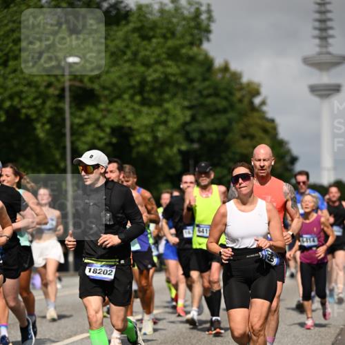 29.06.2025 - hella hamburg halbmarathon Dr. Thomas Lammeyer http://msf.ph/oto/8517242 29.06.2025 10:03:47 Kennedybrücke 1006, 1125, 1595, 1642, 1834, 1955, 2099, 2364, 2391, 2432, 2676, 2910, 3279, 3668, 3836, 4231, 5015, 5134, 5277, 5420, 6202, 6414, 6415, 6581, 6587, 7547, 7786, 8223, 8285, 8330, 8394, 8402, 8520, 8573, 8929, 9488, 9907, 9984, 10031, 10093, 11158 meine-sportfotos.de