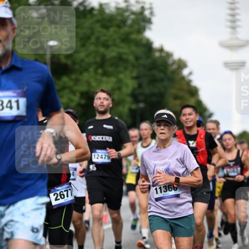 29.06.2025 - hella hamburg halbmarathon Dr. Thomas Lammeyer http://msf.ph/oto/8517951 29.06.2025 10:04:08 Kennedybrücke 1006, 1180, 1239, 1264, 1334, 2099, 2159, 2346, 2348, 2447, 2582, 2584, 2677, 2730, 3042, 3112, 3177, 3794, 3861, 3898, 4013, 4231, 4419, 4594, 4796, 5341, 5643, 5728, 6082, 6084, 6104, 6201, 6202, 6260, 6462, 6581, 6602, 7159, 7717, 7786, 7824, 8394, 8402, 8520, 8531, 8573, 8730, 9611, 10031, 10044, 10268, 10337, 10582, 10587, 10665, 10759, 10788, 11083, 11158, 11159, 11366 meine-sportfotos.de