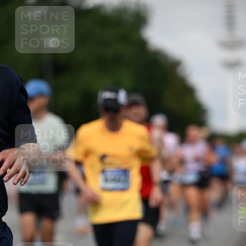 29.06.2025 - hella hamburg halbmarathon Dr. Thomas Lammeyer http://msf.ph/oto/8518123 29.06.2025 10:04:13 Kennedybrücke 1006, 1180, 1239, 1264, 1334, 2027, 2159, 2346, 2348, 2447, 2474, 2582, 2584, 2606, 2652, 2677, 2730, 3042, 3112, 3177, 3794, 3861, 3898, 4013, 4419, 4594, 4767, 4796, 4940, 5341, 5643, 5728, 6082, 6084, 6104, 6201, 6202, 6260, 6443, 6462, 6470, 6602, 6636, 7159, 7717, 7824, 8520, 8531, 8669, 8730, 9485, 9611, 9622, 10044, 10268, 10337, 10534, 10582, 10587, 10665, 10742, 10759, 10766, 10788, 11083, 11158, 11159, 11366 meine-sportfotos.de