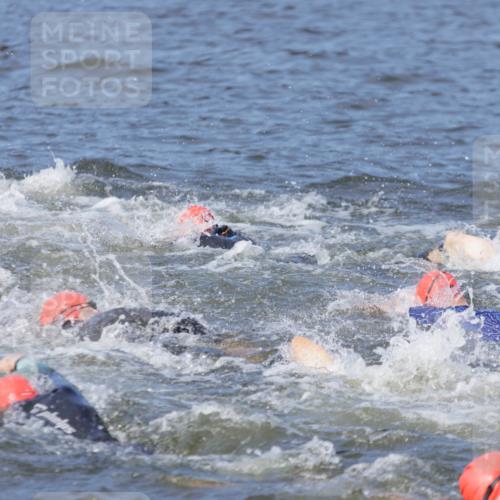 10.08.2025 - GEWOBA Citytriathlon Bremen H.Heesch http://msf.ph/oto/8544457 10.08.2025 10:03:58 Schwimmen  meine-sportfotos.de