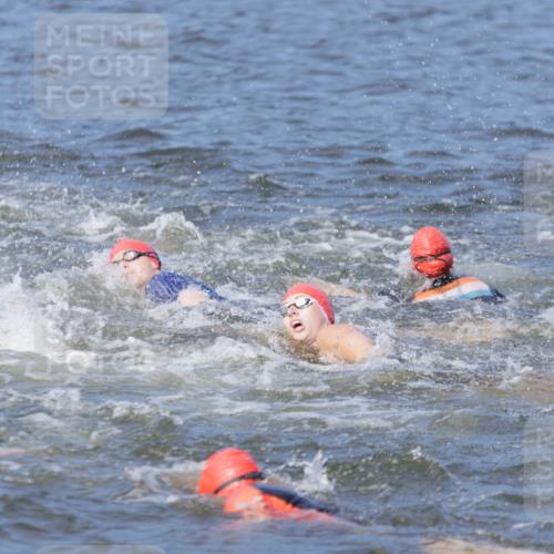 10.08.2025 - GEWOBA Citytriathlon Bremen H.Heesch http://msf.ph/oto/8544597 10.08.2025 10:03:59 Schwimmen  meine-sportfotos.de