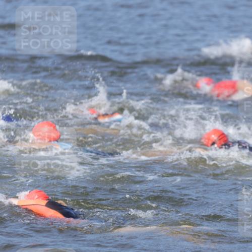 10.08.2025 - GEWOBA Citytriathlon Bremen H.Heesch http://msf.ph/oto/8544608 10.08.2025 10:03:59 Schwimmen  meine-sportfotos.de