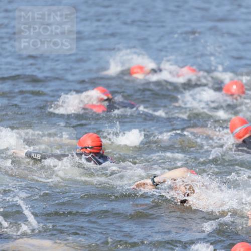 10.08.2025 - GEWOBA Citytriathlon Bremen H.Heesch http://msf.ph/oto/8544611 10.08.2025 10:04:00 Schwimmen  meine-sportfotos.de