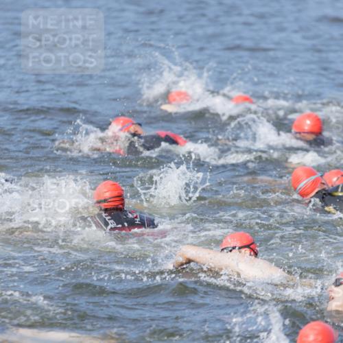 10.08.2025 - GEWOBA Citytriathlon Bremen H.Heesch http://msf.ph/oto/8544613 10.08.2025 10:04:00 Schwimmen  meine-sportfotos.de