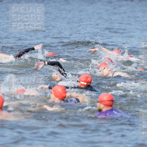 10.08.2025 - GEWOBA Citytriathlon Bremen H.Heesch http://msf.ph/oto/8544619 10.08.2025 10:04:12 Schwimmen  meine-sportfotos.de