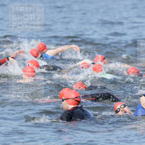10.08.2025 - GEWOBA Citytriathlon Bremen H.Heesch http://msf.ph/oto/8544630 10.08.2025 10:04:13 Schwimmen  meine-sportfotos.de