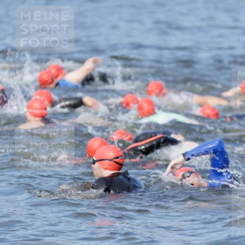 10.08.2025 - GEWOBA Citytriathlon Bremen H.Heesch http://msf.ph/oto/8544632 10.08.2025 10:04:13 Schwimmen  meine-sportfotos.de