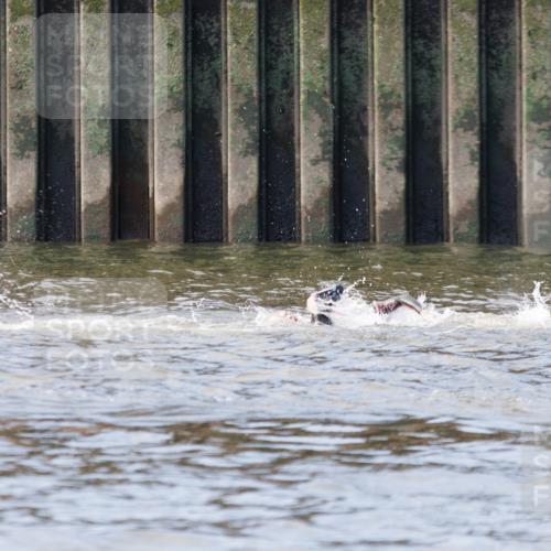 10.08.2025 - GEWOBA Citytriathlon Bremen H.Heesch http://msf.ph/oto/8544778 10.08.2025 10:04:35 Schwimmen  meine-sportfotos.de