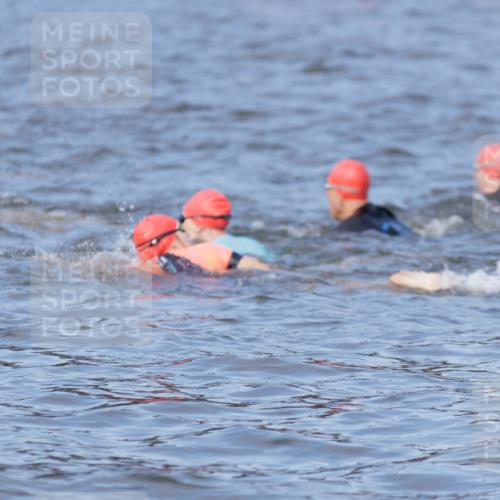 10.08.2025 - GEWOBA Citytriathlon Bremen H.Heesch http://msf.ph/oto/8545286 10.08.2025 10:04:45 Schwimmen  meine-sportfotos.de