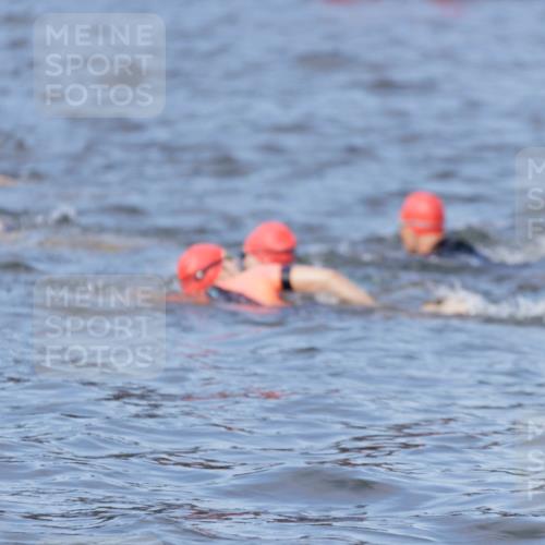 10.08.2025 - GEWOBA Citytriathlon Bremen H.Heesch http://msf.ph/oto/8545316 10.08.2025 10:04:45 Schwimmen  meine-sportfotos.de