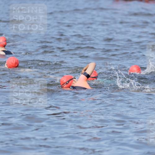 10.08.2025 - GEWOBA Citytriathlon Bremen H.Heesch http://msf.ph/oto/8545339 10.08.2025 10:04:46 Schwimmen  meine-sportfotos.de