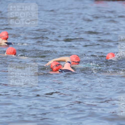 10.08.2025 - GEWOBA Citytriathlon Bremen H.Heesch http://msf.ph/oto/8545341 10.08.2025 10:04:46 Schwimmen  meine-sportfotos.de