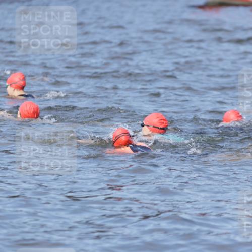 10.08.2025 - GEWOBA Citytriathlon Bremen H.Heesch http://msf.ph/oto/8545344 10.08.2025 10:04:46 Schwimmen  meine-sportfotos.de