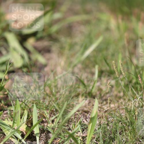 10.08.2025 - GEWOBA Citytriathlon Bremen Yannick Fuchs http://msf.ph/oto/8558236 10.08.2025 12:31:06 Radfahren 621, 692, 753, 801 meine-sportfotos.de