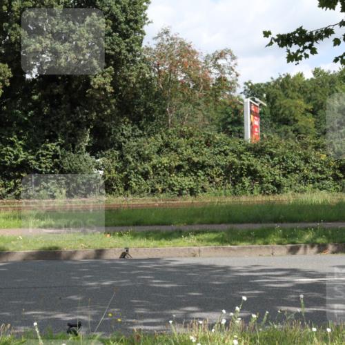 10.08.2025 - GEWOBA Citytriathlon Bremen Yannick Fuchs http://msf.ph/oto/8565896 10.08.2025 12:11:57 Radfahren 576, 667, 699, 702, 752, 799, 816, 907 meine-sportfotos.de