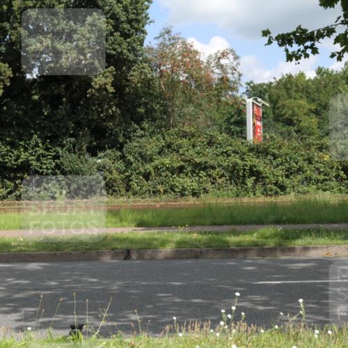 10.08.2025 - GEWOBA Citytriathlon Bremen Yannick Fuchs http://msf.ph/oto/8568176 10.08.2025 12:54:18 Radfahren 582, 618, 707, 740, 742, 750, 797, 1006, 1032, 1039 meine-sportfotos.de